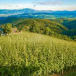 Secluded Escape Hilltop With Hot-tub - Two Bedroom With Hot-tub *
